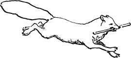 i_041.jpg