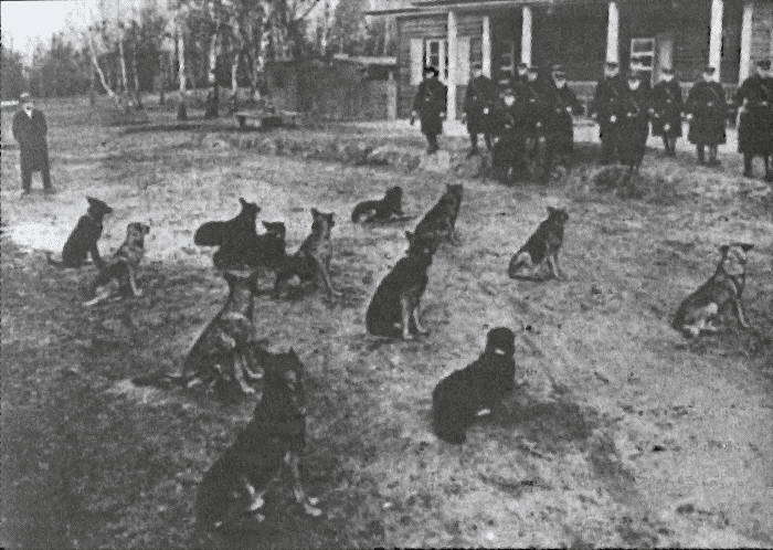 Литовские полицейские батальоны. 1941-1945 гг. i_041.jpg