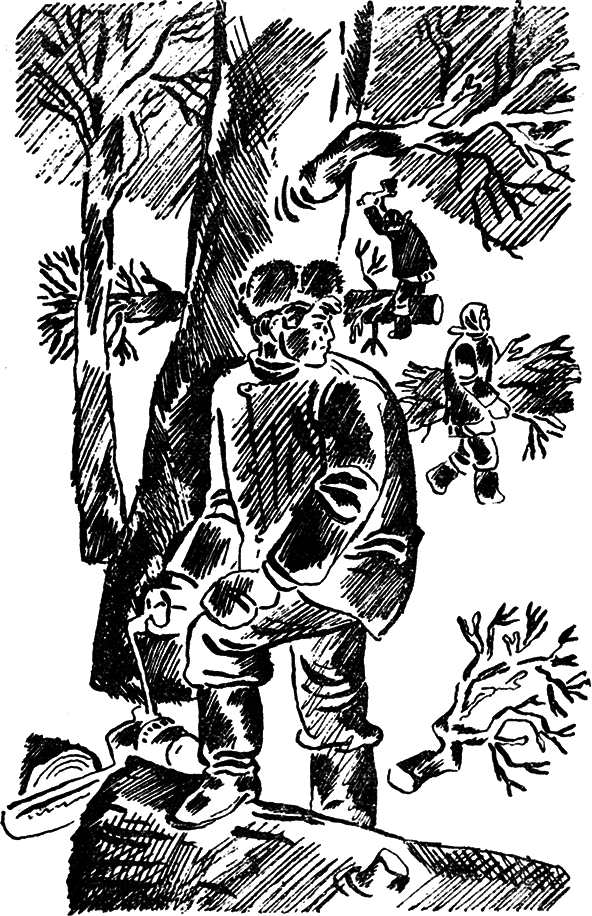 Девчата. Повесть и рассказы i_007.png
