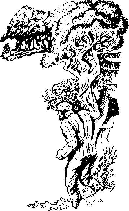 В Заболотье светает i_001.png