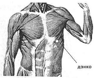 Aнатомия жизни и смерти. Жизненно важные точки на теле человека _141.jpg