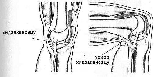 Aнатомия жизни и смерти. Жизненно важные точки на теле человека _167.jpg