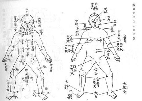 Aнатомия жизни и смерти. Жизненно важные точки на теле человека _199.jpg