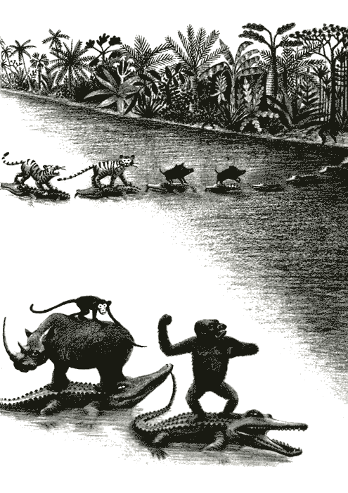 Папин дракон img45.png
