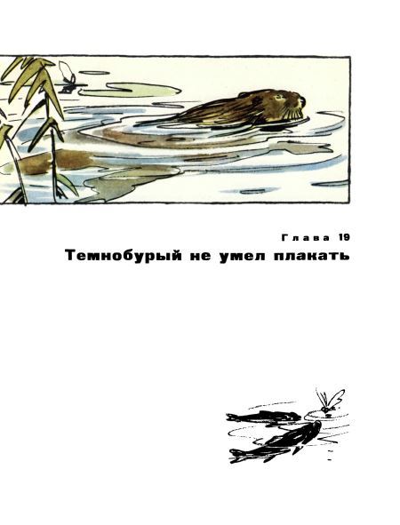 Голубой дымок вигвама i_116.jpg
