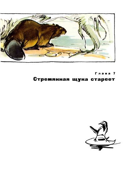 Голубой дымок вигвама i_041.jpg