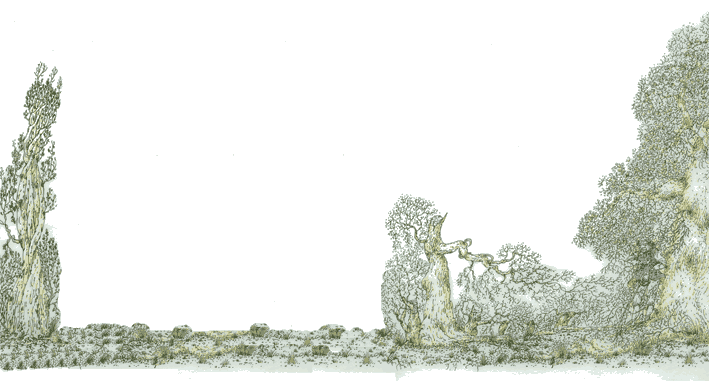 Сентименталист i_002.png