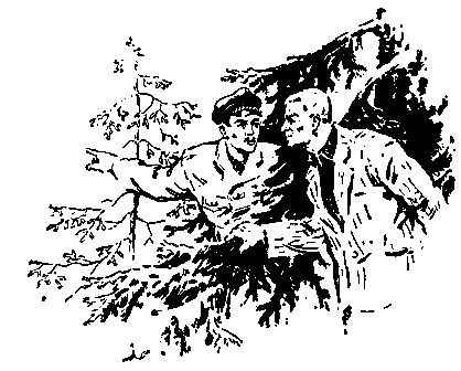 Встречный ветер (сборник) pic_8.png