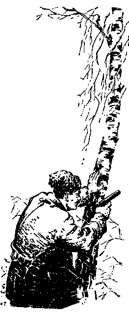 Встречный ветер (сборник) pic_10.png