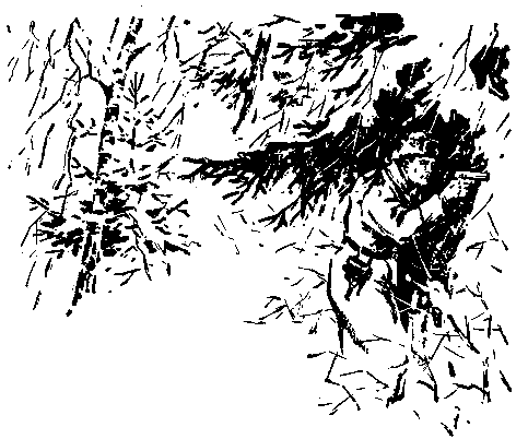 Встречный ветер (сборник) pic_11.png