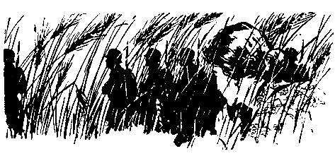 Встречный ветер (сборник) pic_20.png