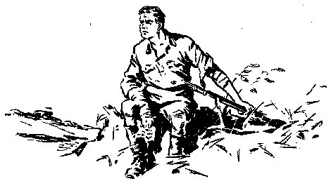Встречный ветер (сборник) pic_21.png