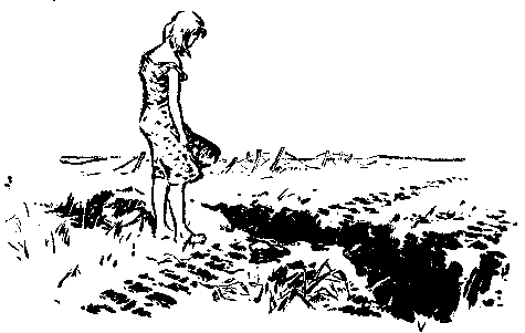 Встречный ветер (сборник) pic_23.png