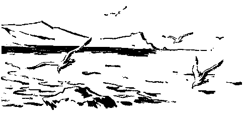 Встречный ветер (сборник) pic_38.png