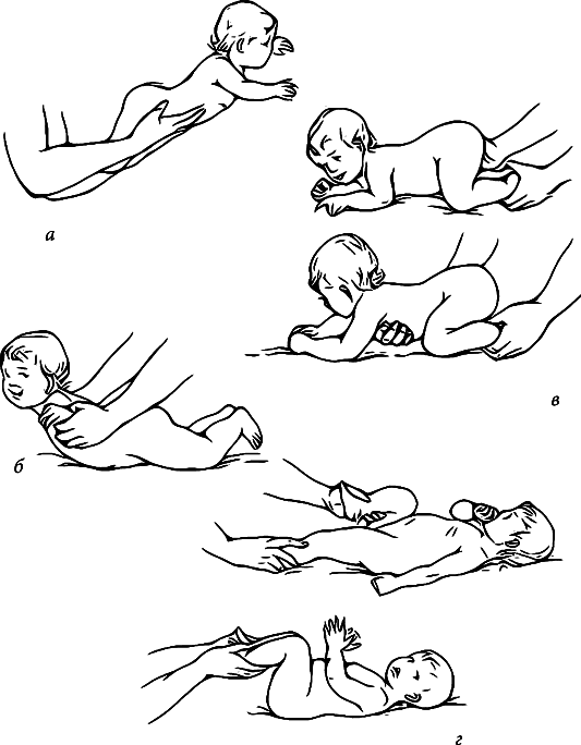 Массаж. Полное руководство i_067.png