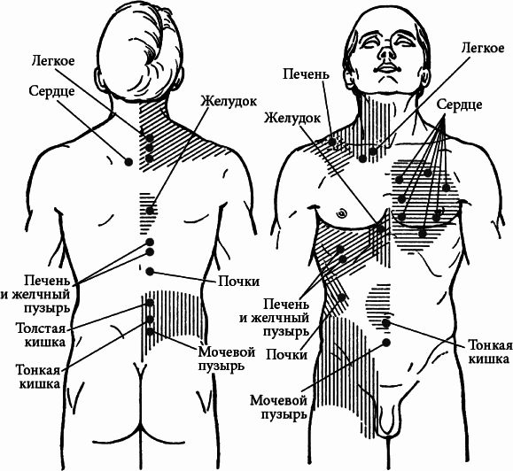 Массаж. Полное руководство i_139.png
