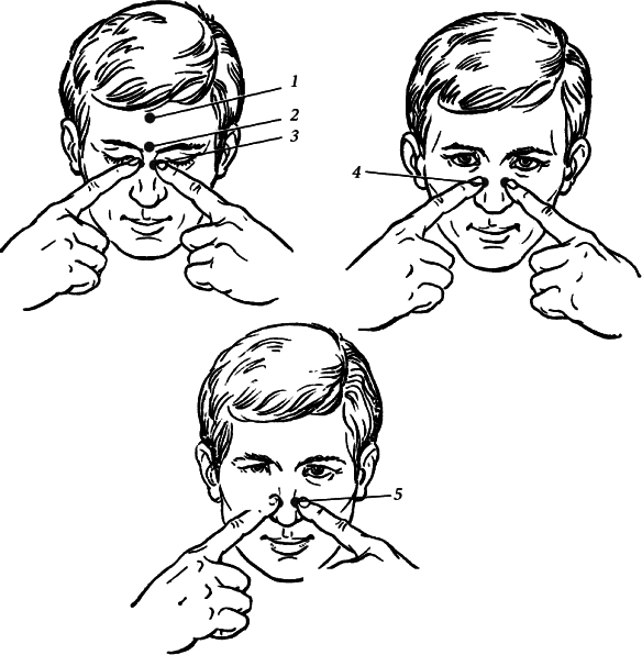 Массаж. Полное руководство i_146.png