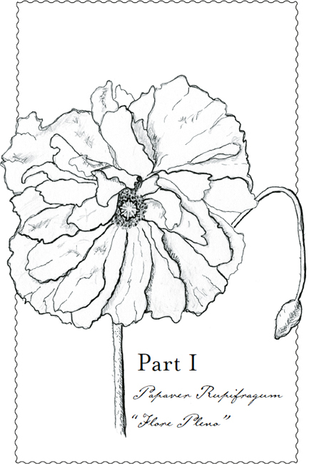 Her Name Is Rose: A Novel _3.jpg
