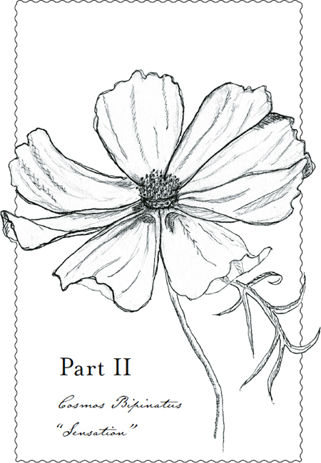 Her Name Is Rose: A Novel _4.jpg