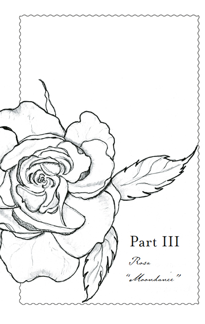 Her Name Is Rose: A Novel _5.jpg