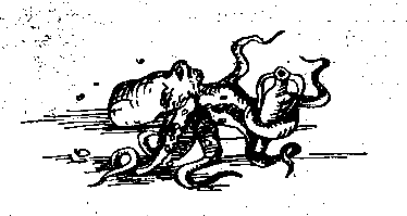 Маракотова бездна (илл. С. Меньшикова) pic_17.png