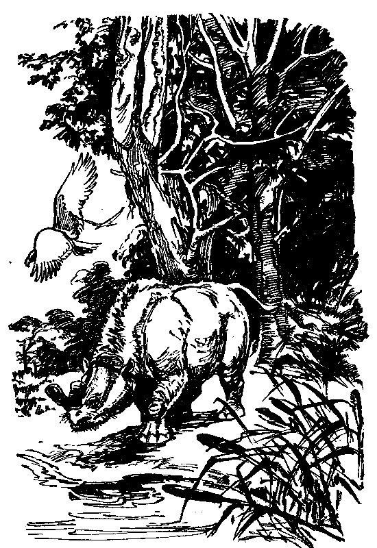 В дебрях времени pic_23.png
