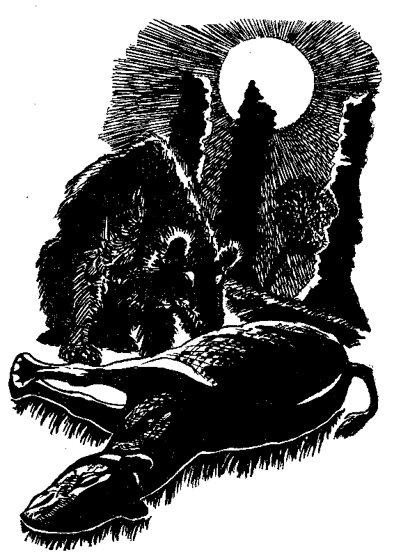 В дебрях времени pic_25.png