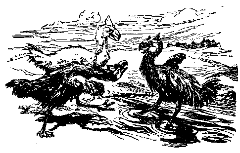 В дебрях времени pic_26.png
