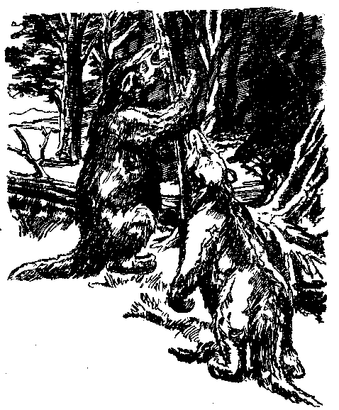 В дебрях времени pic_29.png