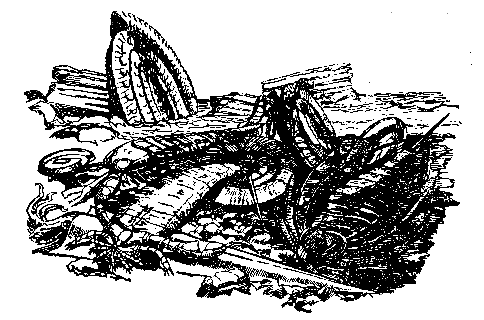 В дебрях времени pic_4.png