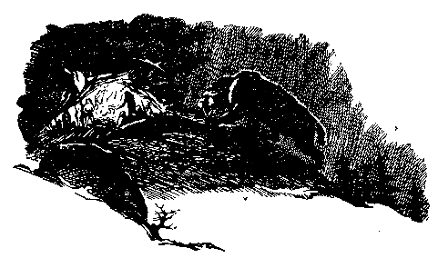В дебрях времени pic_31.png