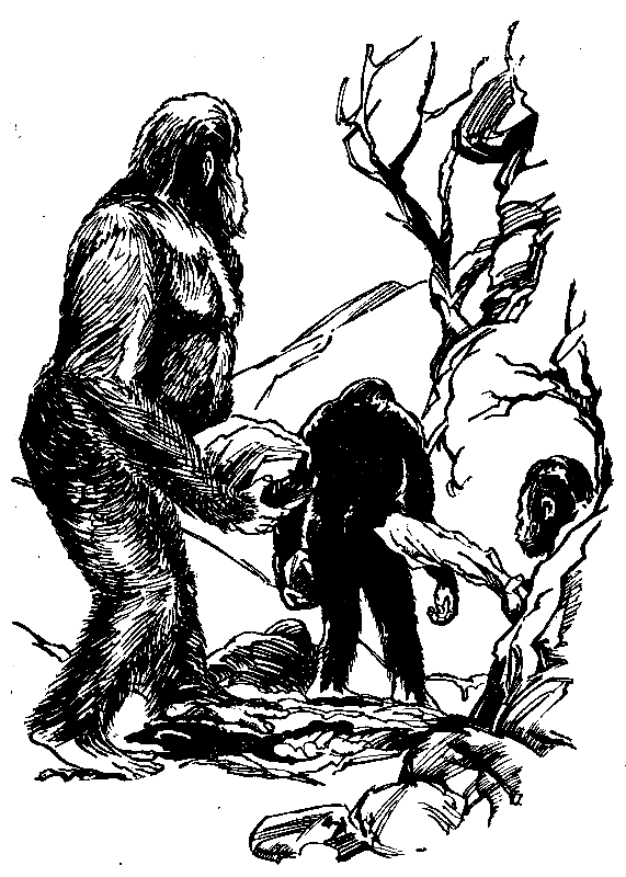 В дебрях времени pic_32.png