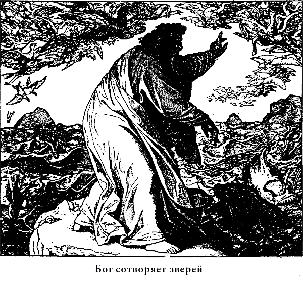 Иллюстрированная Библия для детей i_003.png