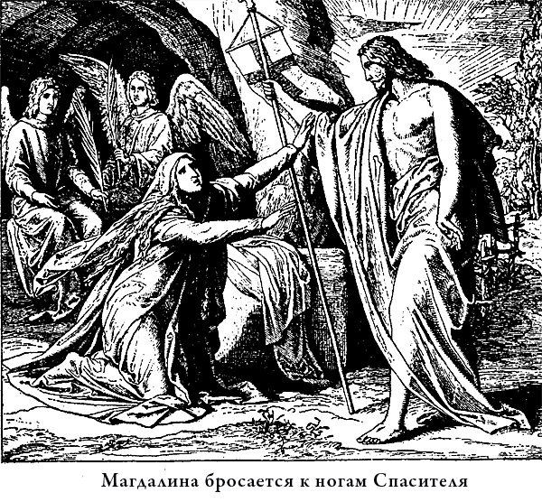 Иллюстрированная Библия для детей i_062.png