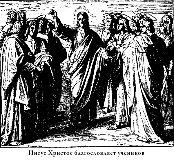 Иллюстрированная Библия для детей i_064.png