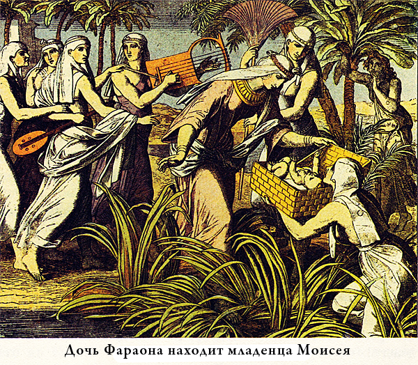 Иллюстрированная Библия для детей i_019.png