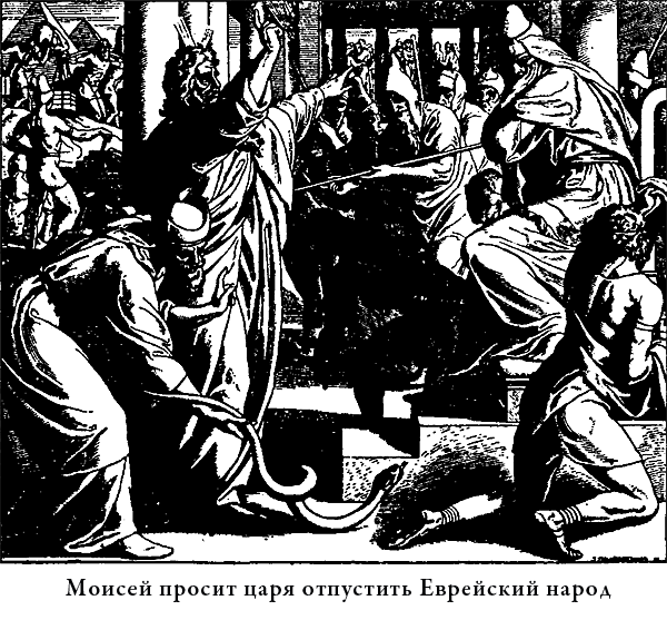 Иллюстрированная Библия для детей i_020.png