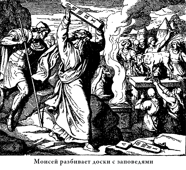Иллюстрированная Библия для детей i_022.png