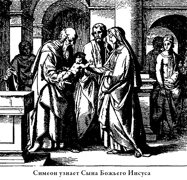 Иллюстрированная Библия для детей i_037.png