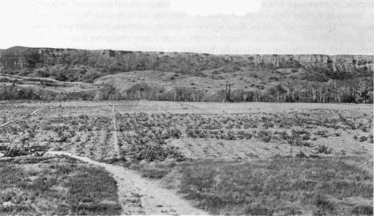Альма i_024.jpg