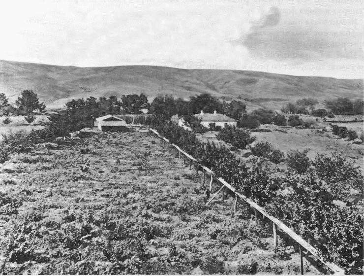 Альма i_025.jpg