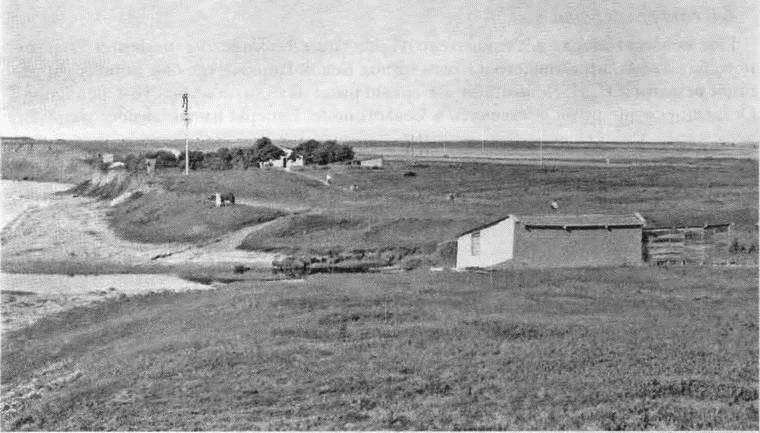 Альма i_028.jpg