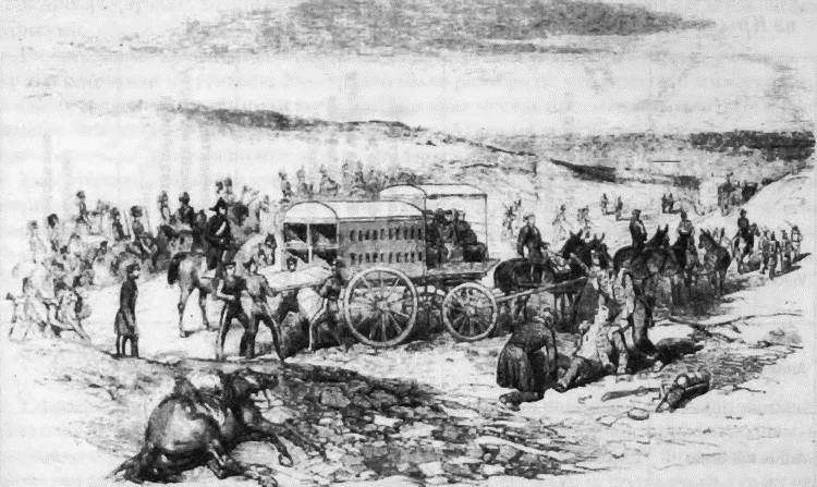 Альма i_160.jpg