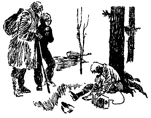 Золото (илл. В. Трубковича) pic_4.png