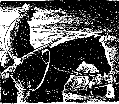 Токей Ито (илл. А. Громов) pic_14.png