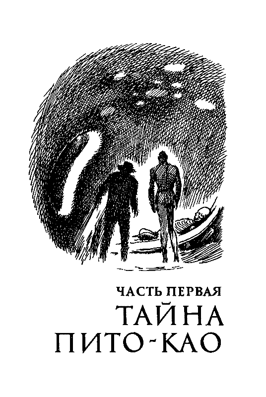 Гаяна (илл. П. Садков) pic_4.png