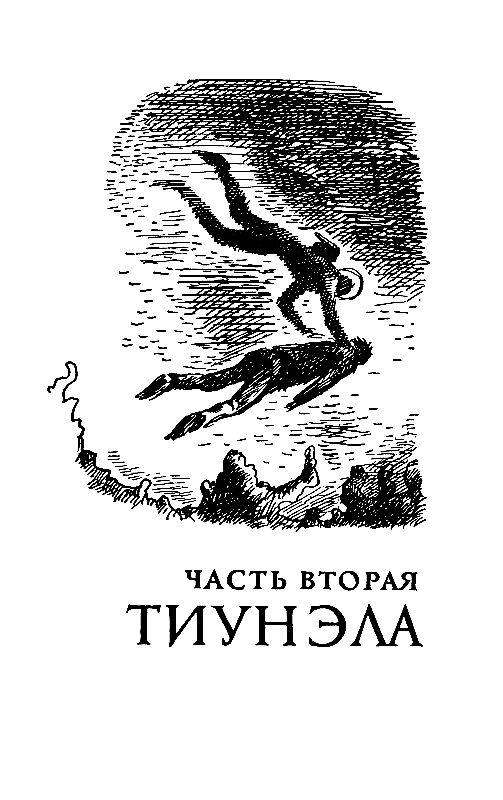 Гаяна (илл. П. Садков) pic_6.png