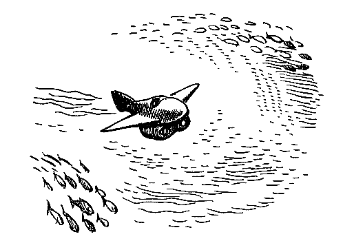 Гаяна (илл. П. Садков) pic_7.png