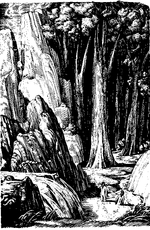 Топ и Гарри (илл. А. Громов) pic_8.png