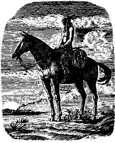 Топ и Гарри (илл. А. Громов) pic_30.png
